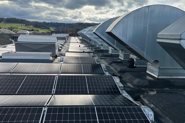 Bartalovics Projekte 04