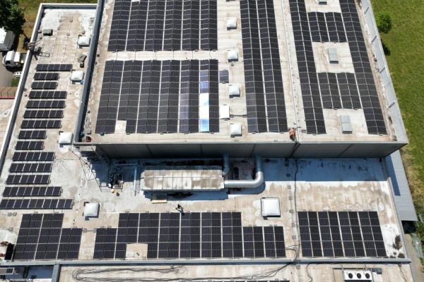 Bartalovics Projekte 06